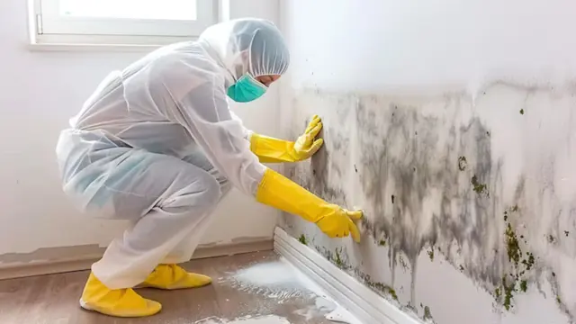 Technician in protective gear treating a mold-stained wall